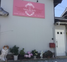 ピンクの看板が目印です。白いドアからお入りください。